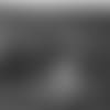 High%20School%20Video%203_FINAL.mp4