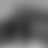 Cowboys_PMBA_08.mp4