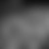 20190523_DAL_OTA_quickies23