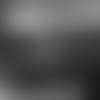 DanQuinnDC-2021-WEB