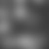 9_14_John%20Fassel_SOT.mp4
