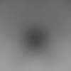 NEW-LIVE-show-DAL-logo-thumb