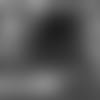 9_10_Trevon_Diggs_for_web.mp4