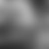 Insider102419-thumb