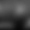C4_10_31_19.mp4