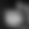 MCMC2019-thumb