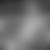 5PB-Romo-Hits-5-Hot-Topics-From-Super-Bowl-hero