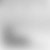 TE%20Audio_V1.mp4