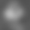 Terrell_AP_19008053274632