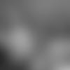 19_0515_BBK.mp4