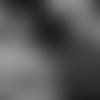 20_0226_BBK%20COMBINE_FIELD%20YATES%20INTERVIEW_WEB.mp4