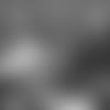 19_0215_BBK.mp4