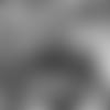 ROLLE-COVER3