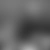 19_0510_BBK.mp4