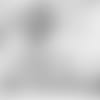 WEBCARD_1920x1080_Coughlin