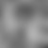 barkleysights-81010
