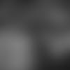 19_0124_VernonInsider.mp4