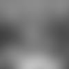 19_0318_BBK.mp4
