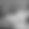 19_0415_BBK.mp4
