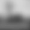30-Questions-Darius-Slayton