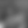 19_0509_BBK.mp4