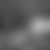 19_0801_BBK.mp4