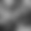 AP_17309690332548