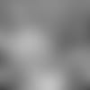19_0409_BBK.mp4