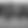Sights-And-Sounds-6-7-19
