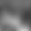 19_0220_BBK.mp4