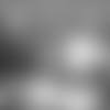 19_0313_BBK.mp4