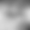 NYG_PositionPreview_Template_1920x1080