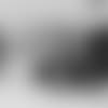 20_0418_Charles%20Davis_WEB.mp4