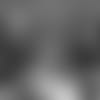 19_0205_BBK.mp4