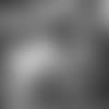 E_1D2_3235-quincy-thumb