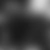E_SZ4_1009-harrison-thumb