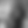 E_SZP_1140-gase-thumb