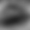 2019-cuts-6-E_sz3_3117