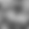 E_SZ1_0226-trumaine-thumb