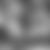 E_SZ3_0157-wischusen-thumb