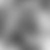 E_1D2_4613-darnold-thumb