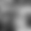 griffin-feature-E_SNY_9920 (1)