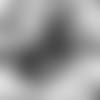 E_SZ4_0808-maye-thumb