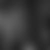 question-series-candidates-E_SZ5_1306