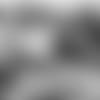 snap-count-2020-E_SZP_2317