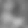 E_SZ4_1400-johnson-thumb
