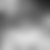 E_SZ5_0892-darnold-thumb