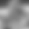 E_SZ1_2310-herndon-thumb