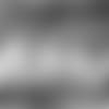 question-series-saints-E_sz3_3018