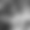 E_SZ2_1103-crowder-thumb